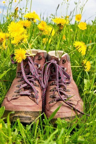 Wanderschuhe