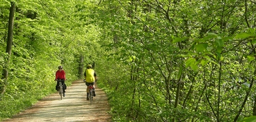 Radfahrer